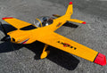 Legacy - 80" Super Chipmunk - Yellow/Red- RXR