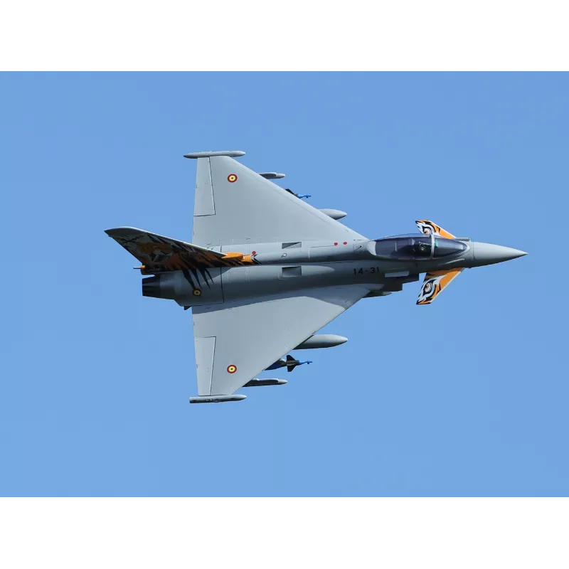 Freewing Euro-Fighter Typhoon 90mm 12b inrunner EDF (6S)