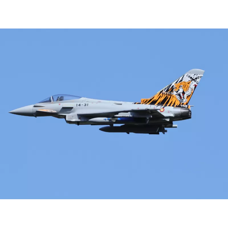 Freewing Euro-Fighter Typhoon 90mm 12b inrunner EDF (6S)
