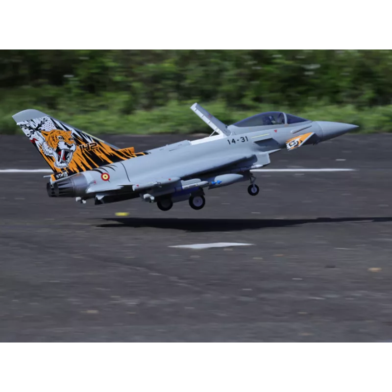 Freewing Euro-Fighter Typhoon 90mm 12b inrunner EDF (6S)